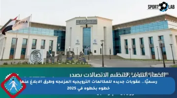 رسميًا.. عقوبات جديدة للمكالمات الترويجية المزعجة وطرق الإبلاغ عنها خطوة بخطوة في 2025